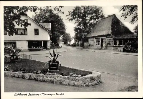 Ak Jesteburg in Niedersachsen, Straßenpartie