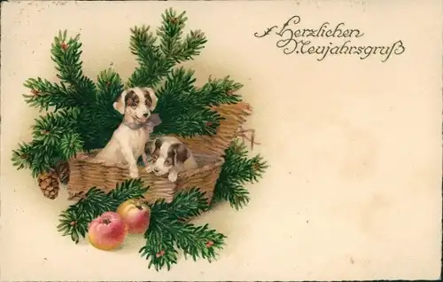 Ak Glückwunsch Neujahr, Zwei Hundewelpen in einem Korb, Meissner Buch