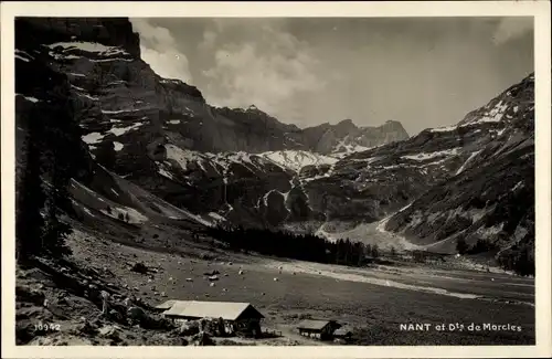 Ak Nant Bex Kanton Waadt, Restaurant du Pont de Nant, F. Ravy, Dents de Morcles