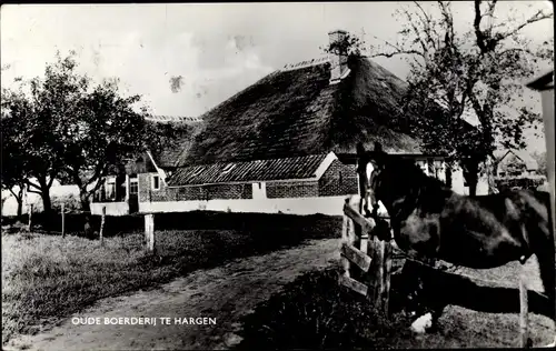 Ak Hargen aan Zee Schoorl Nordholland Niederlande, Oude Boerderij, Pferd