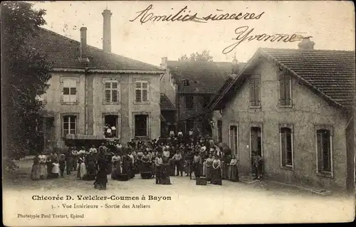 Ak Bayon Meurthe et Moselle, Chicoree D. Voelcker-Coumes, Vue Interieure
