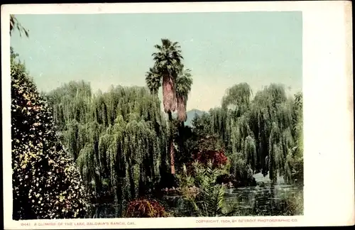 Ak Pasadena, Kalifornien, USA, Baldwin's Ranch, Lake
