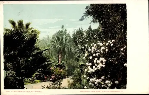 Ak Pasadena Kalifornien USA, Baldwin's