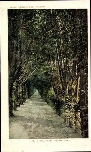 Ak Kalifornien USA, Cypress Walk
