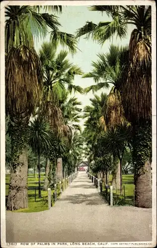 Ak Long Beach, Kalifornien, USA, Palmenreihe im Park