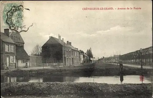 Ak Crèvecoeur le Grand Oise, Avenue de la Prairie