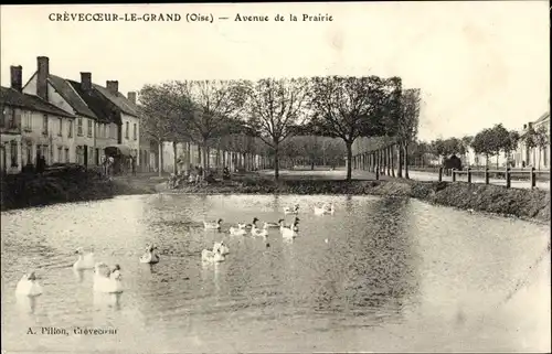 Ak Crevecoeur le Grand Oise, Avenue de la Prairie