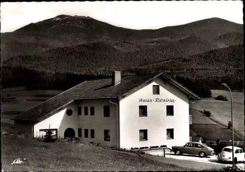 Ak Lam im Bayerischen Wald Oberpfalz, Hotel Rosina