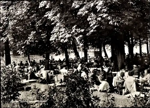 Ak Berlin Wilmersdorf Grunewald Schildhorn, Erstes Schildhornrestaurant, Terrasse