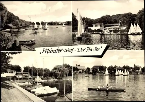 Ak Münster in Westfalen, Der Aa See, Teilansichten, Segelboote, Kanu