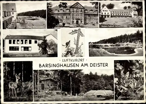 Ak Barsinghausen Niedersachsen, Fußballverbandsheim, Kloster, Wilhelm Stedtler Schule, Rehkitz