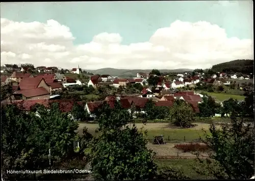 Ak Siedelsbrunn Wald Michelbach im Odenwald Hessen, Panorama