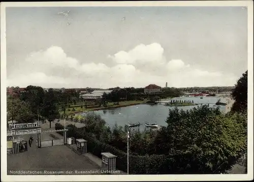 Ak Uetersen in Holstein, Norddeutsches Rosarium