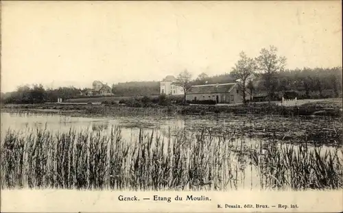 Ak Genck Flandre Limbourg, Etang du Moulin