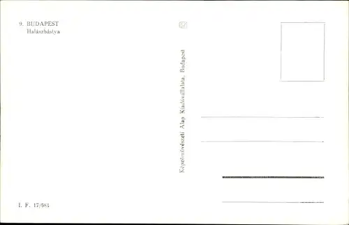 Ak Budapest Ungarn, Halaczbastya