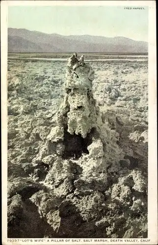 Ak Kalifornien USA, Lot's Wife eine Salzsäule, Solt Marsh, Death Valley