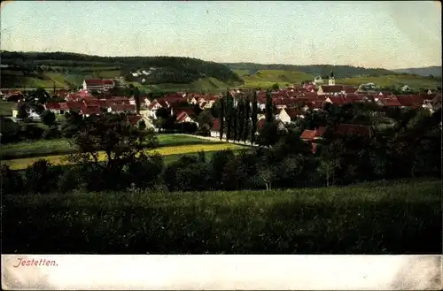 Ak Jestetten in Baden, Totalansicht