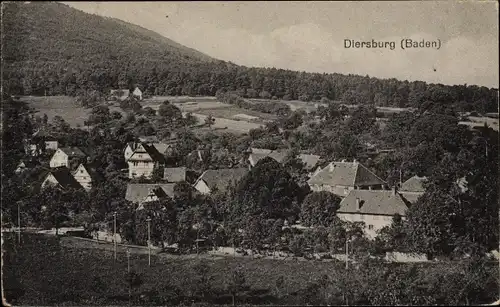 Ak Diersburg Hohberg im Schwarzwald Baden, Totalansicht