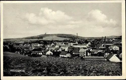 Ak Bruntál Freudenthal Region Mährisch Schlesien, Panorama