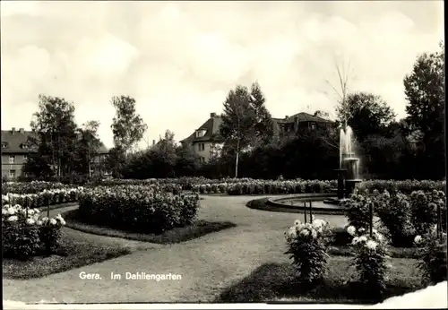 Ak Gera in Thüringen, Im Dahliengarten, Springbrunnen