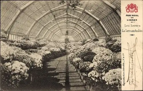 Ak Laeken Brüssel Brüssel, Königlicher Park von Laeken, Gewächshaus