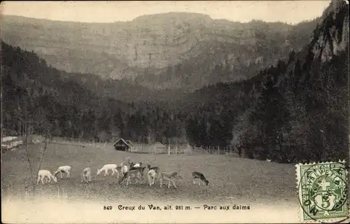Ak Kanton Neuenburg, Creux du Van, Wildpark