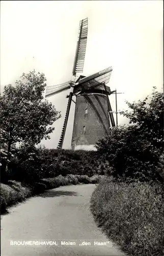 Ak Brouwershaven Zeeland, Mühle Den Haan