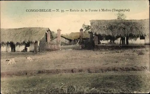 Ak Moliro RD Kongo Zaire, Eingang zur Farm