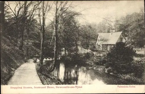 Ak Newcastle upon Tyne England, Jesmond Dene