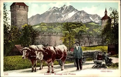 Ak Luzern Stadt Schweiz, Musegg, Pilatus, Rinderkarren