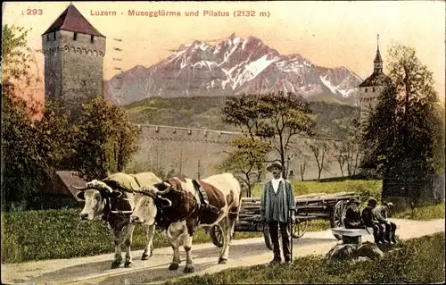 Ak Luzern Stadt Schweiz, Museggtürme und Pilatus, Rinderfuhrwerk