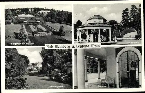 Ak Bad Meinberg am Teutoburger Wald, Kurgarten, Kurheim, Kurpark, Brunnen, Palmengarten