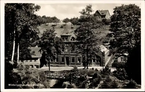 Ak Hainichen in Sachsen, Wintergarten