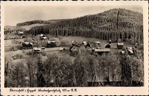 Ak Bärenfels Altenberg im Erzgebirge, Gesamtansicht