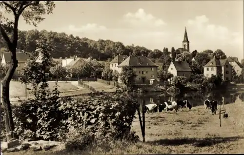 Ak Friedrichsgrün Reinsdorf in Sachsen, Ortsansicht mit Kirche, Kühe