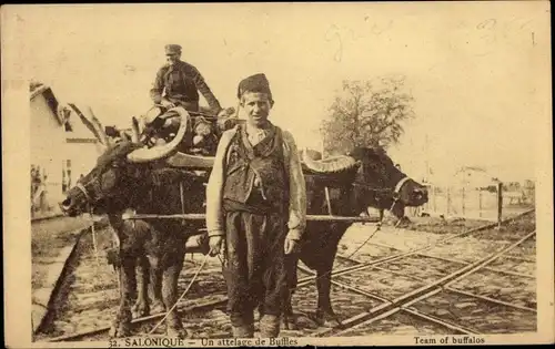 Ak Thessaloniki Griechenland, Un attelage de Buffles, Rinderkarren