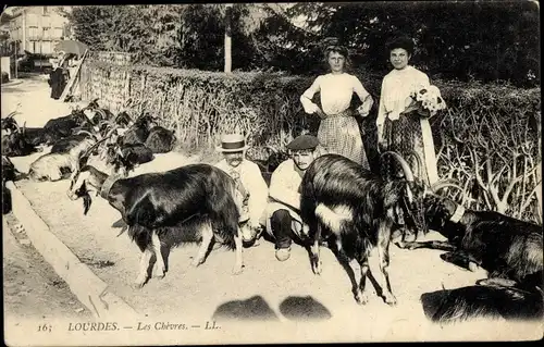 Ak Lourdes Hautes Pyrenäen, Les Chevres