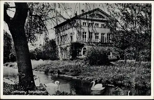 Ak Uettingen in Unterfranken, Schlossgarten, Schwäne