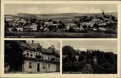 Ak Regnitzlosau in Oberfranken, Panorama, Gasthof Grüner Baum, Schloss Hohenberg