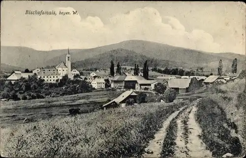 Ak Bischofsmais in Niederbayern, Panorama