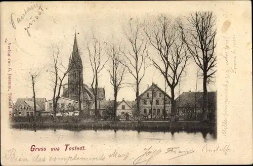 Ak Tostedt in Niedersachsen, Teilansicht, Kirche
