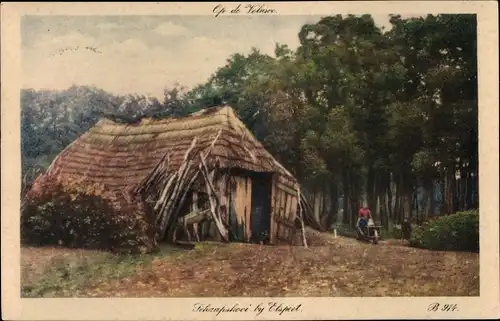 Ak Elspeet Gelderland, Schafstall am Wald