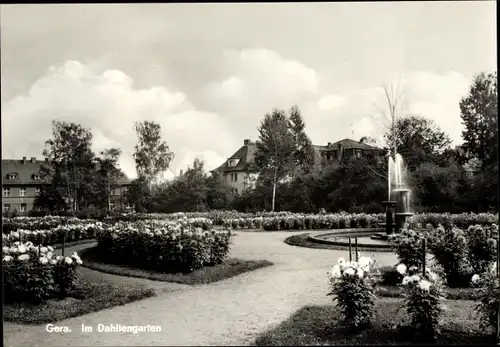 Ak Gera in Thüringen, Dahliengarten, Springbrunnen