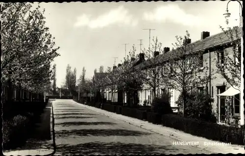 Ak Hansweerd Hansweert Zeeland Niederlande, Scheldestraat