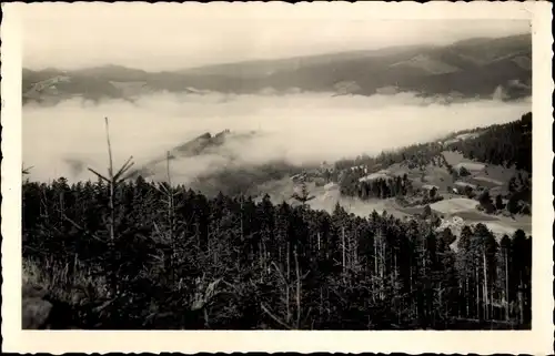 Ak Frýdlant v Čechách Friedland in Böhmen Reg Reichenberg, Waldüberblick, Landschaft