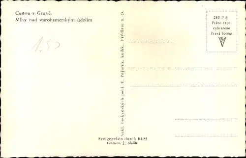 Ak Frýdlant v Čechách Friedland in Böhmen Reg Reichenberg, Waldüberblick, Landschaft