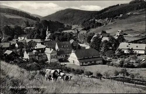 Ak Oberkirchen Schmallenberg Sauerland, Gesamtansicht