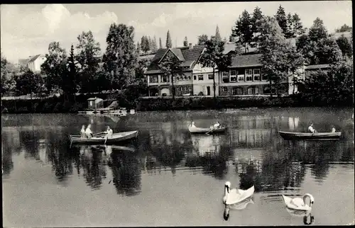 Ak Much in Nordrhein Westfalen, Gasthaus Herrenteich, Schwäne