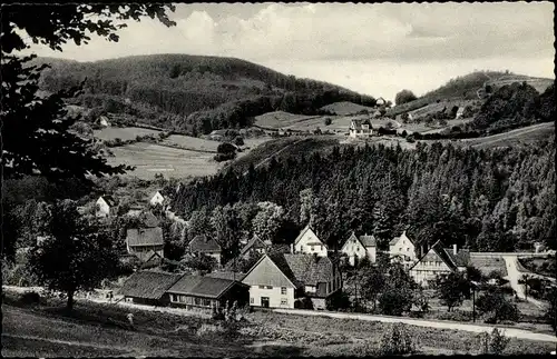 Ak Berlebeck Detmold im Teutoburger Wald, Ortsansicht, Adlerwarte