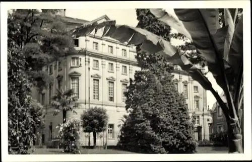 Foto Ak Mulhouse Mülhausen Elsass Haut Rhin, Teilansicht vom Gebäude